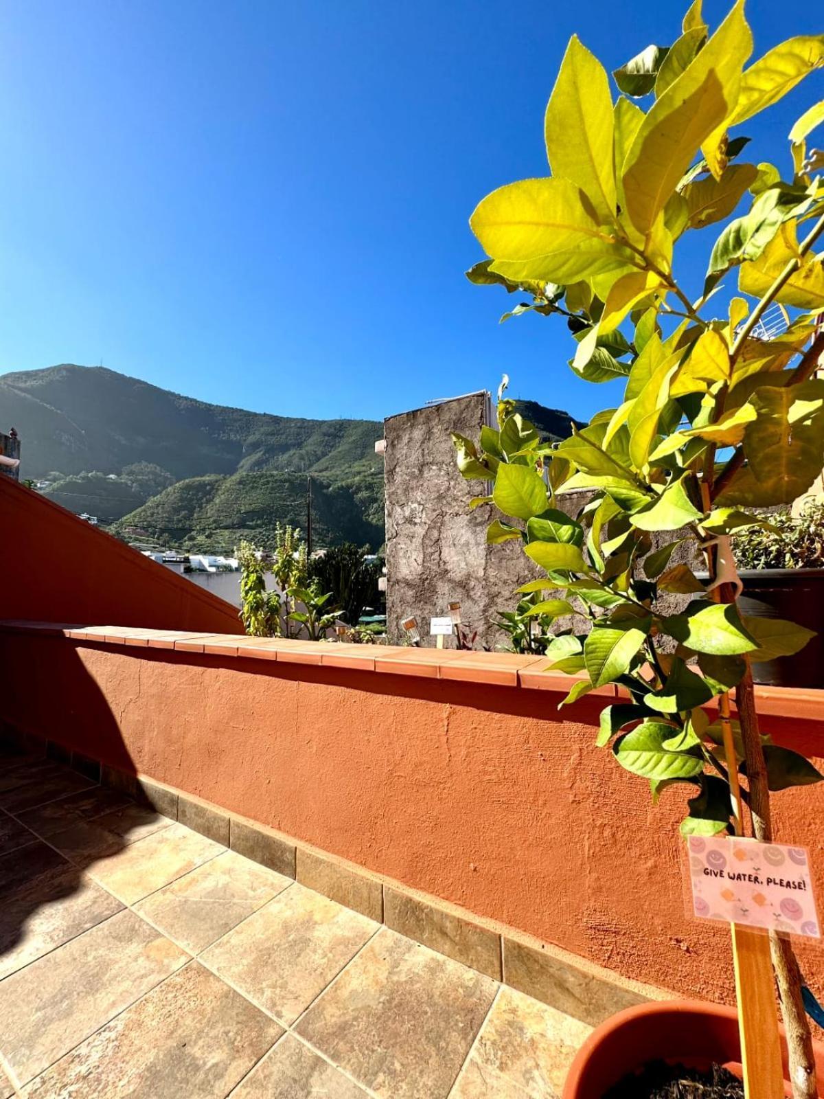 Precioso Apartamento Con Terraza En Piso Superior ロス・レアレホス エクステリア 写真
